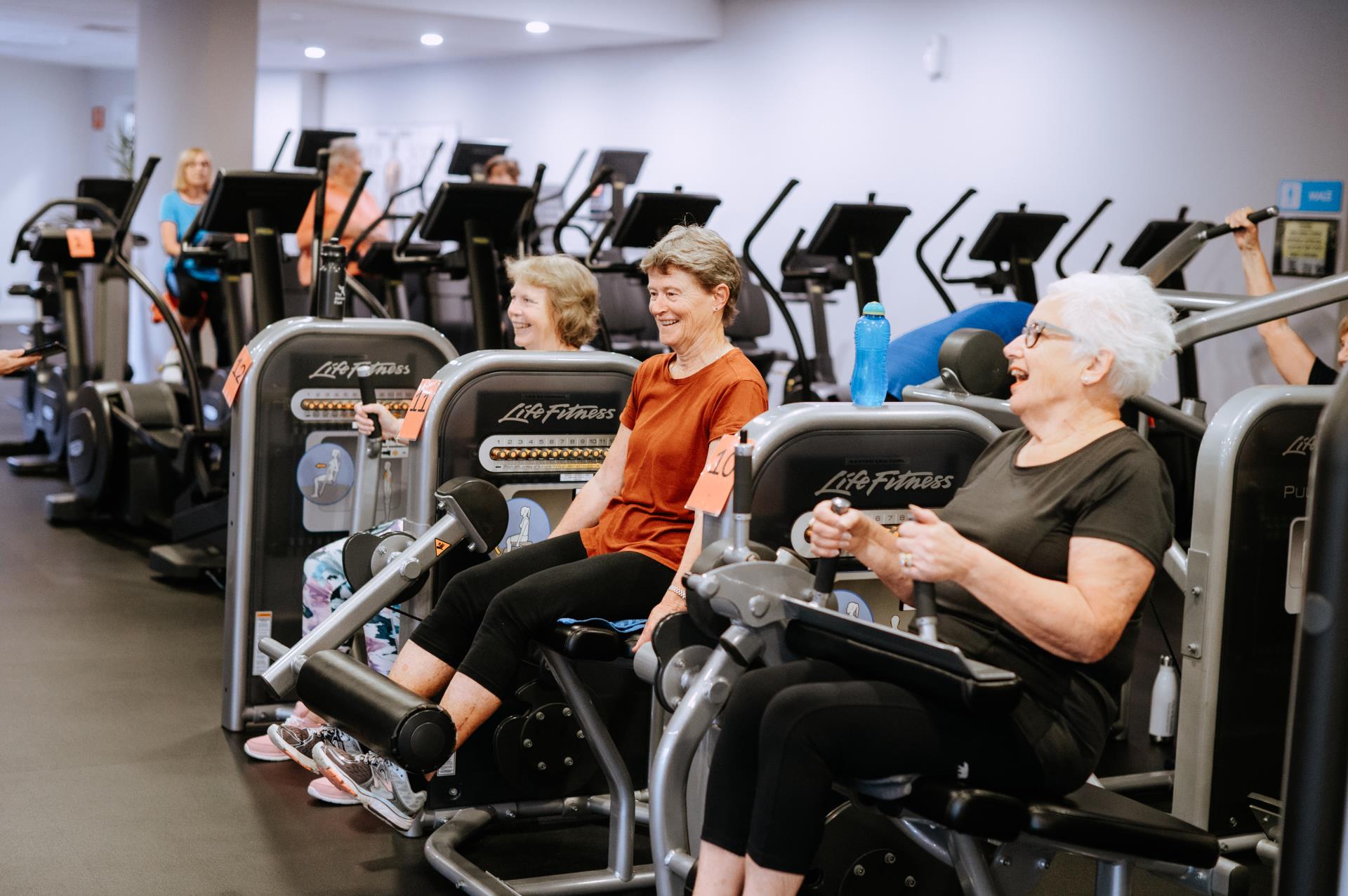 Lifestyle gym online