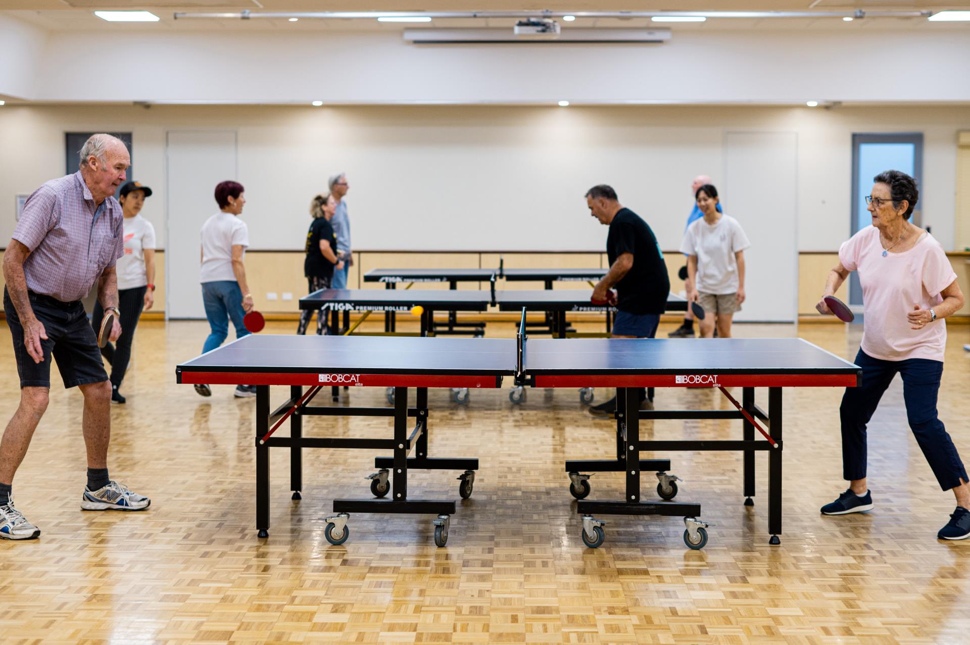 Social Badminton, Table Tennis & Pickleball Image
